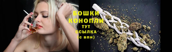 гидра Беломорск