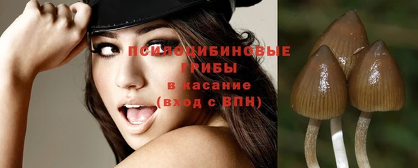 стафф Белокуриха