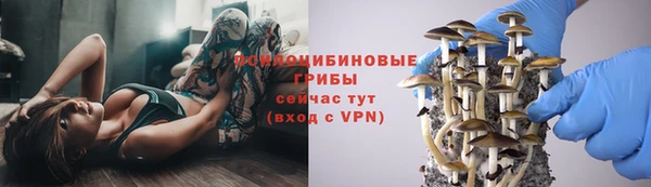 крисы Белоозёрский