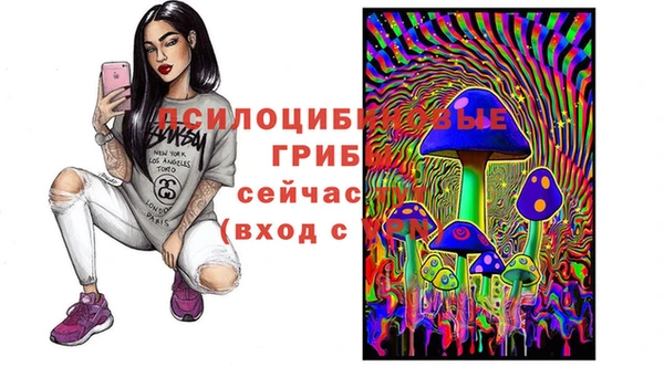 крисы Белоозёрский