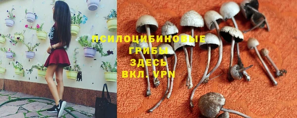 стафф Белокуриха
