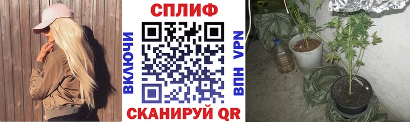 даркнет сайт  Новотитаровская  Конопля гибрид 
